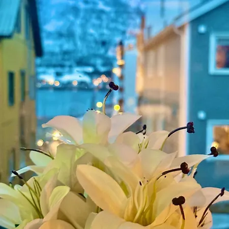 Apartment Aurora Comfort 3br By Polaria Free Parking Tromso